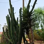 Casolare Del Toscano Country Кальтаджироне