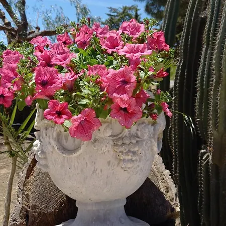Bed & Breakfast Casolare Del Toscano Country Caltagirone