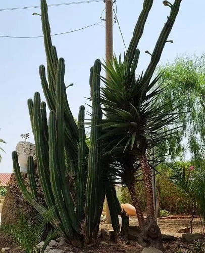 Casolare Del Toscano Country Caltagirone